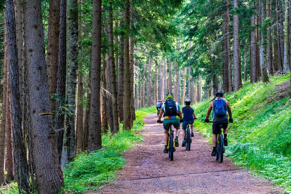 Viele Fahrradwege durch den Wald der Vulkaneifel